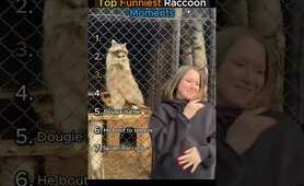Top Funniest Raccoon Moments