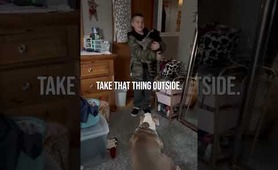 Boy brings home pet raccoon! #shorts #funny #raccoon