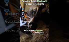 Top 5 Medazelli Raccoon Moments (#1 Was Wild)