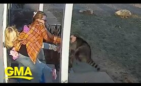 Connecticut mom rescues 5-year-old daughter from raccoon attack