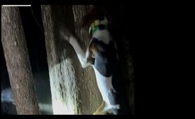 Kill, clean, and cook ol Raccoon!!!!