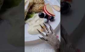 Raccoon Steals Grape in Broad Daylight 