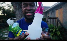 HOW TO KEEP RACCOONS, POSSUMS, SQUIRRELS AND CATS AWAY FROM YOUR GARDEN OR BACKYARD. DIY SOLUTION.