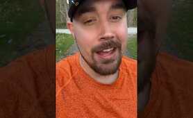 How to keep raccoons and possums away ￼