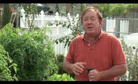 Maintaining a Garden : How to Keep Raccoons Out of a Garden