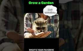 Grow a Garden: The Best Mutation. #growagarden #raccoon #tinymutation