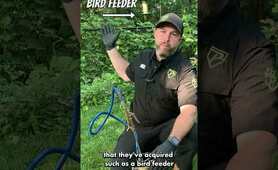 Raccoon Feces in My Yard!