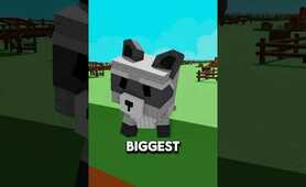 Getting UNLIMITED RACCOONS in Grow a Garden!