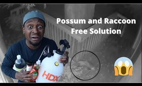 HOW TO KEEP RACCOONS, POSSUMS & SQUIRRELS AWAY FROM YOUR GARDEN OR BACKYARD. DIY SOLUTION Part 2!