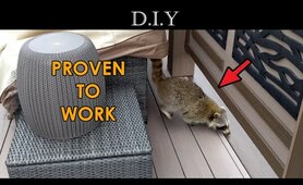 DIY Deck (Part 26): How to keep Raccoons off your patio furniture in backyard for good?