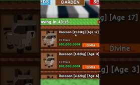 SECRET RACCOON ONLY PETSHOP ADDED Back from OWNER Of Grow a Garden!