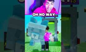 GROW A GARDEN NEW RACCOON 