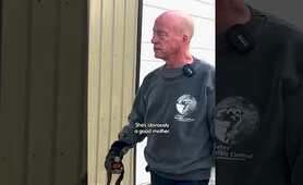 Mama Raccoon Hides Her Babies In A Garage | The Dodo