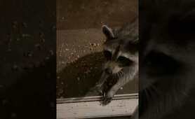 Mommy being skittish 