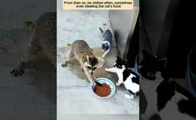 This family rescued a raccoon trapped in a can and then&hellip;