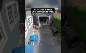 Coyote chases little girl through yard of Oregon home