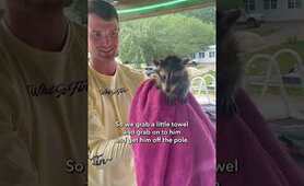 Man rescues helpless baby raccoon from danger | Humankind #Shorts