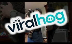 Guy Cuddles Big  Adorable Raccoon || ViralHog