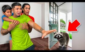 A VICIOUS Raccoon came Into Our Home&hellip;
