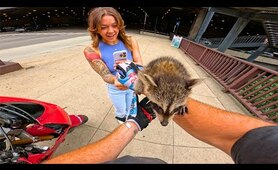 Riding With My RACCOON In DOWNTOWN Chicago!