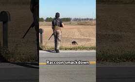 Guy tried to assassinate raccoon 