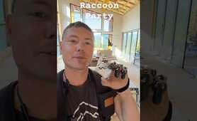 Raccoon Party!! #friends #party #trashpanda #raccoon #goodtimes
