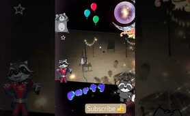 Raccoon&rsquo;s having a party 