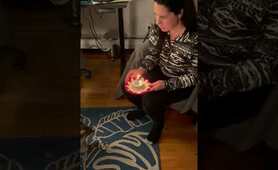 Bella the Raccoon&rsquo;s 1st Birthday Party