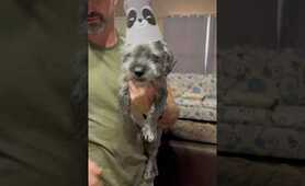 Jett and Rusty after party 