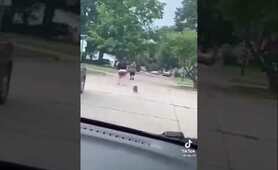 Gangster Raccoon | Funny raccoon | Raccoon Lovers