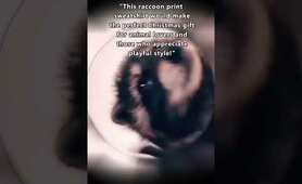 Rockin' raccoon sweatshirts: adorable music gear for animal lovers!