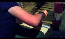 Pet raccoon loves cookies 3.