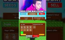 DOG TO RACCOON TRADE GROW A GARDEN 